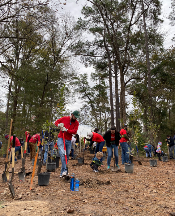 treeplanting_2.png